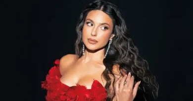 Որքան հարկ է վճարել Սիրուշոն 2025 թվականին