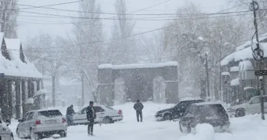 23-ամյա տղան աթոռով հարվածել է համակուրսեցու և նրա հոր գլխին