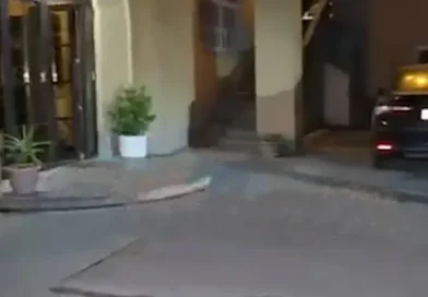 «Ուրարտու» ռեստորանում ցանկացել են փեսային սպանել