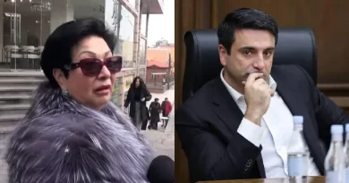 Ձեր տղան`Ալեն Սիմոնյանը, թքեց ու մնաց անպատիժ. ի՞նչ է պատասխանել ԱԺ նախագահի մայրիկը․ ՏԵՍԱՆՅՈՒԹ