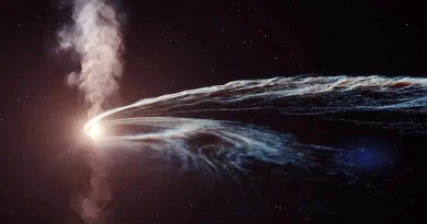 Գիտնականները հայտնաբերել են սև խոռոչ, որն արտանետում է քայքայված աստղերի մնացորդները