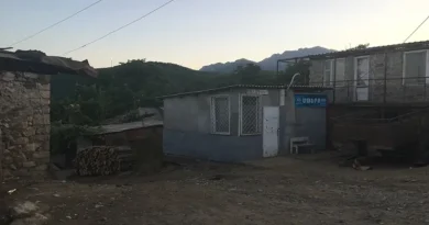 Կինը հայտնել է, որ Վերին Խոտանանի վարչական ղեկավարը գողացել է 6 անչափահաս երեխաներին