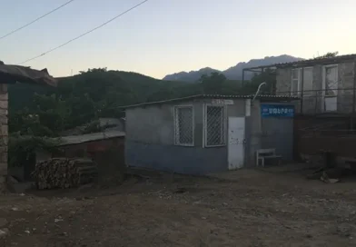 Կինը հայտնել է, որ Վերին Խոտանանի վարչական ղեկավարը գողացել է 6 անչափահաս երեխաներին