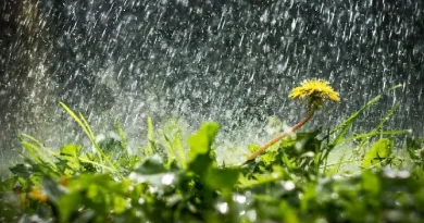 Ժամանակ առ ժամանակ սպասվում է անձրև․ ինչպիսի եղանակ է սպասվում առաջիկա օրերին