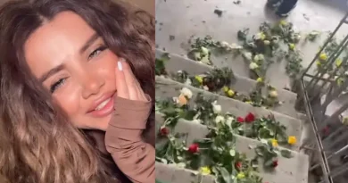 6000-ից ավելի վարդ՝ Աննա Կոստանդյանի համար. ով էր զարդարել Երևանի փողոցները