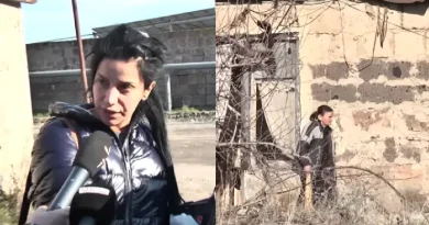 «Էրեխուն տարել էի, որ ապահով լիներ». ծեծված փոքրիկի մայր․ ՏԵՍԱՆՅՈՒԹ