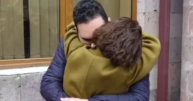 Խնդրում եմ թույլ տալ որդուս խնամել տանը՝ մինչ հիմնական դատավարությունը. Դավիթի և Միքայելի մոր նամակը դատարանին