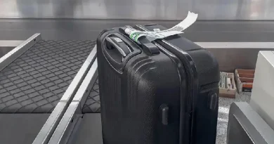 Օտարերկրացի կինը տաքսիով հասել է ՀՀ սահման, այն հատել ոտքով, սակայն տաքսիստը հափշտակել է իր ճամպրուկը ու հեռացել