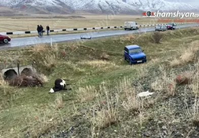 Արտանիշում 50-ամյա վարորդը հարվածել է ճանապարհին հայտնված խոշոր եղջերավոր անասունին, ապա բախվել «ՎԱԶ 2121»-ին․ կովը սատկել է