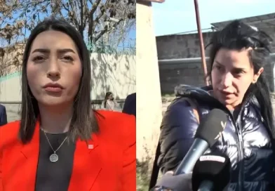 Խորթ մայրը ձերբակալվել է. դիտավորյալ արարք է․ ՆԳ նախարարը 1-ամյա երեխային դաժան ծեծի ենթարկելու դեպքի մասին․ ՏԵՍԱՆՅՈՒԹ