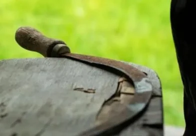 Տղամարդը մանգաղով սպանել է պաղպաղակ վաճառողին և ու իր հետ տարել նրա գլուխը