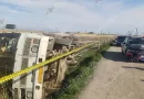 avtobus 5