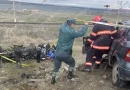 avtovtar 12