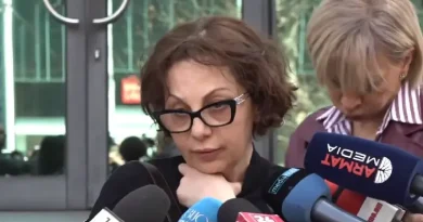 Սա թյուրիմացություն է, որ իմ երեխաների հետ եղել է. Գայանե Մինասյան․ ՏԵՍԱՆՅՈՒԹ