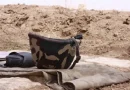 mahacac zinvor