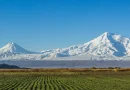 ararat ler