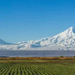 ararat ler