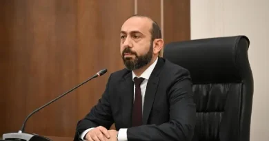 Արարատ Միրզոյանը մանրամասներ է հայտնել ադրբեջանցի հովիվի, Շաքի մտած զինծառայողի դեպքերի մասին