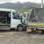 avtovtar 6