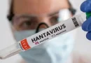 hantavirus 1