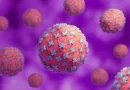 hantavirus 2