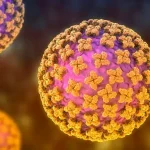 hantivirus