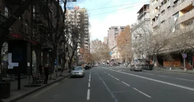 Երևանի Ամիրյան փողոցը անվանակոչվեց Պապ թագավորի անունով
