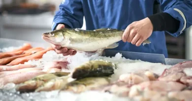 Նոր սահմանափակում ՀՀ-ի համար ձկնային արտադրանքի մատակարարումների մասով