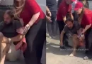 meqenayi tak gcel