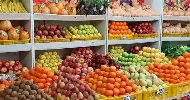 ՀՀ-ից թարմ պտղի, շշալցված խաղողի գինու, բրենդիի և հանքային ջրի արտահանումը կսուբսիդավորվի