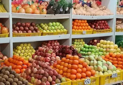 ՀՀ-ից թարմ պտղի, շշալցված խաղողի գինու, բրենդիի և հանքային ջրի արտահանումը կսուբսիդավորվի