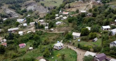 Էքսկուրսիայից հետո թմրանյութի ազդեցության տակ հիվանդանոց տեղափոխված 12-ամյա երեխան արդեն տանն է․ տնօրենը մանրամասներ է հայտնել