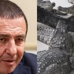 carukyan kokordilos