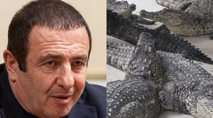 carukyan kokordilos