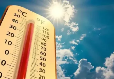 Շոգի պատճառով մահացել է ավելի քան 3800 մարդ