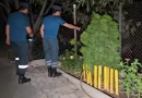 malatiayi jrancq