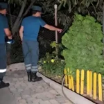 malatiayi jrancq