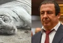 tsarukyan 1
