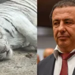 tsarukyan 1