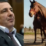 tsarukyan dzi