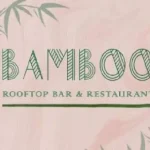 bamboo
