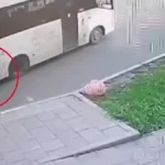 avtobus