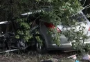 avtovtar 1 7