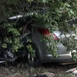 avtovtar 1 7