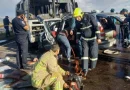 avtovtar