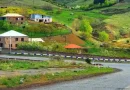 garni