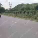 gvardi zoh