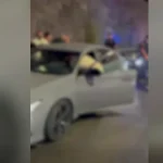 tmranyut dzerbakalel