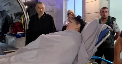 «Ծանր է շնչում, ոսկոր չունի». ադրբեջանցու կրակոցից վիրավորված Անիի ամուսինը մանրամասներ է հայտնել