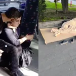 avtobus kin txa